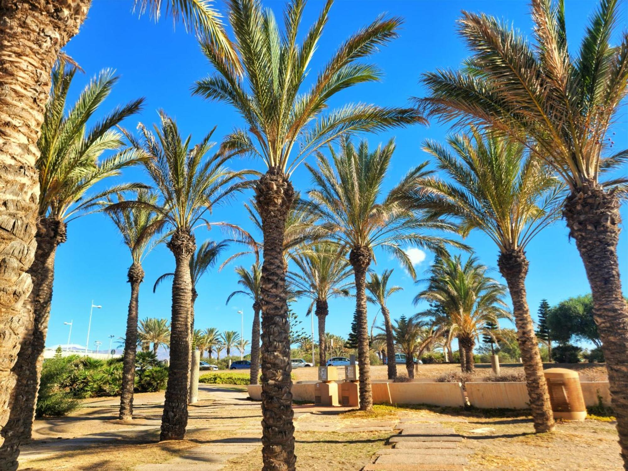 Apartamento Apto Dulcessuenos, Retamar, Cabo De Gata